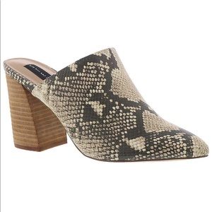 Steve Madden snakeskin Neva Mules